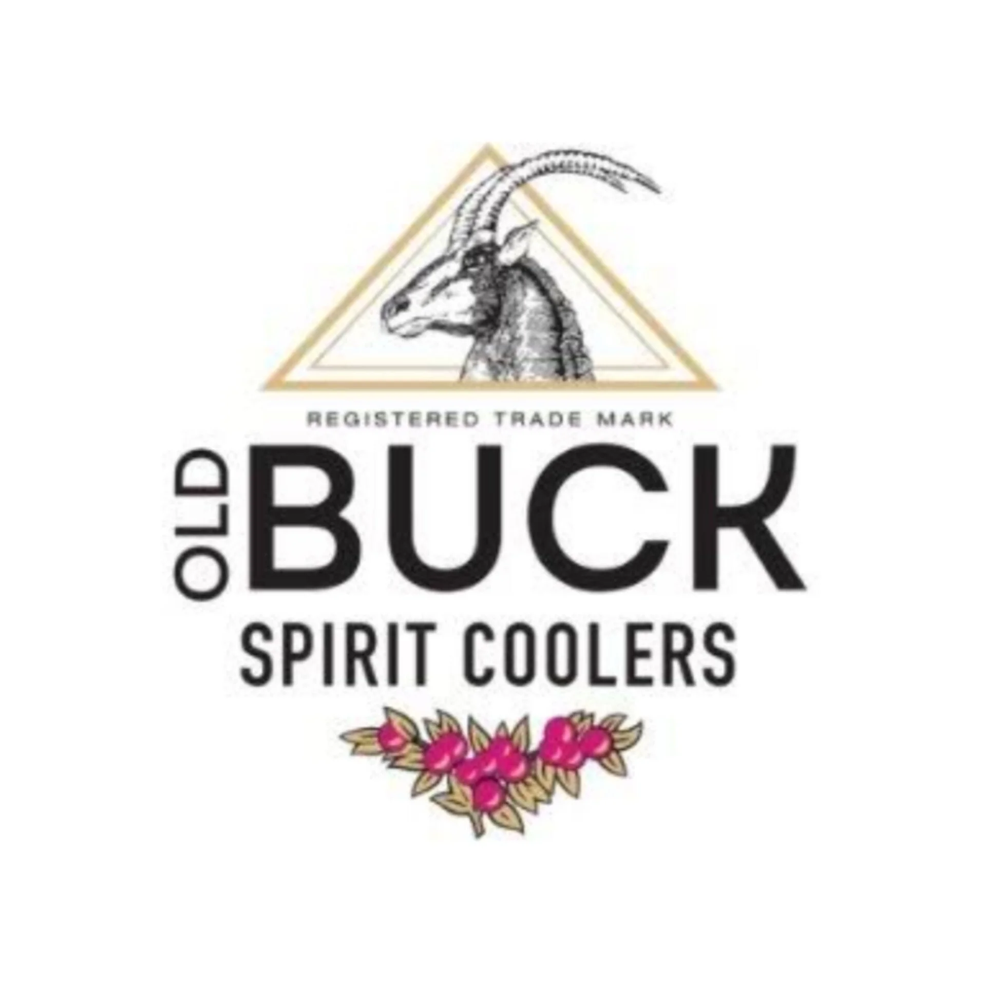 Lifestyle photography styling for Old Buck Gin alcholic spirit coolers