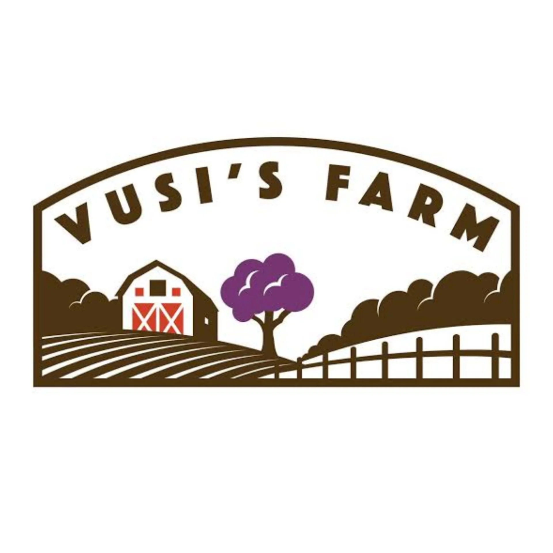 Styling  organic farm fresh produce for Vusi's Farm